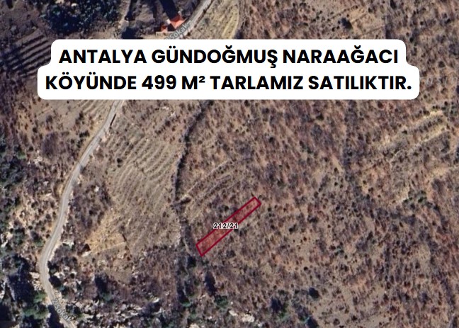 ANTALYA GÜNDOĞMUŞ NARAAĞACI  KÖYÜNDE 499  M² TARLA SATILIKTIR - ANTALYA GÜNDOĞMUŞ fotoğraf 8